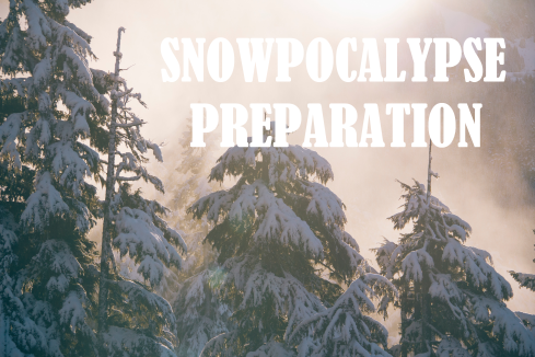 snowy trees with text overlay: Snowpocalypse Preparation